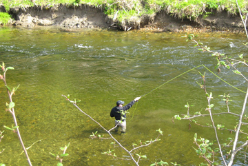 Fly Fishing